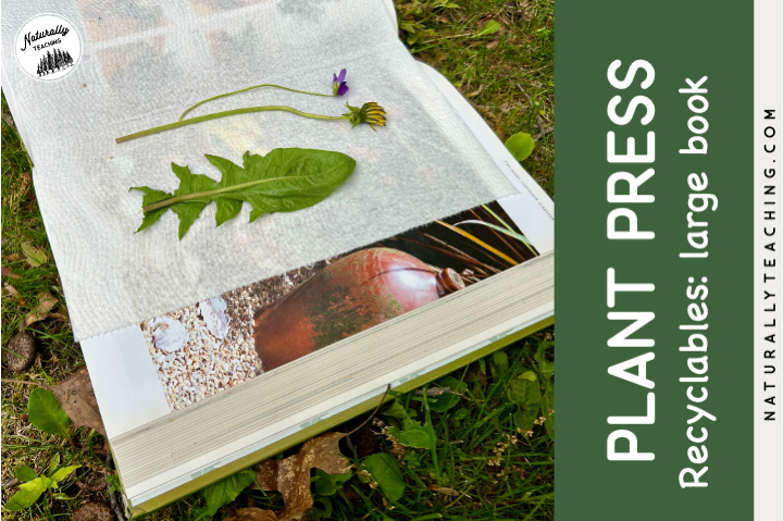 Use an old book to press your plant specimens with your students.