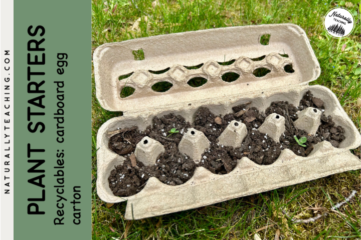 Cardboard egg cartons can be used for biodegradable plant starters.