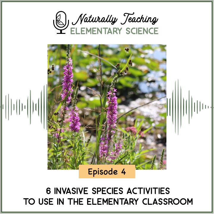 Episode 4: 6 Invasive Species Activities to Use in the Elementary Classroom
