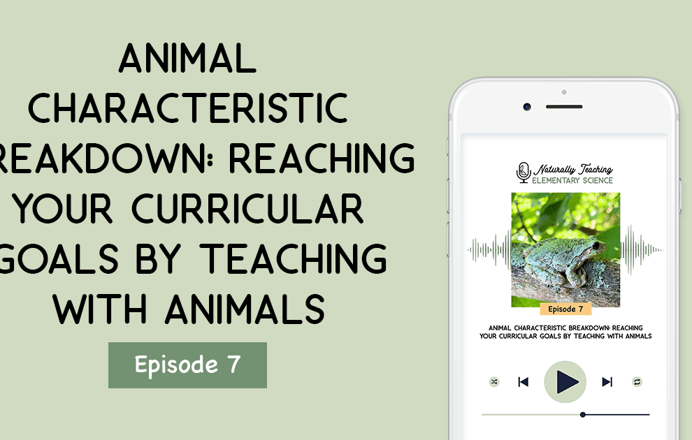 Animal Characteristic Breakdown: Reaching Your Curricular Goals by Teaching with Animals [ep. 7]