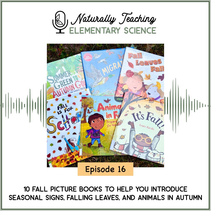 Ep. 16: 10 Fall Picture Books to Help You Introduce Seasonal Signs, Falling Leaves, and Animals in Autumn