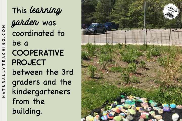 This learning garden was planted by 3rd graders and kindergarteners at an elementary school.