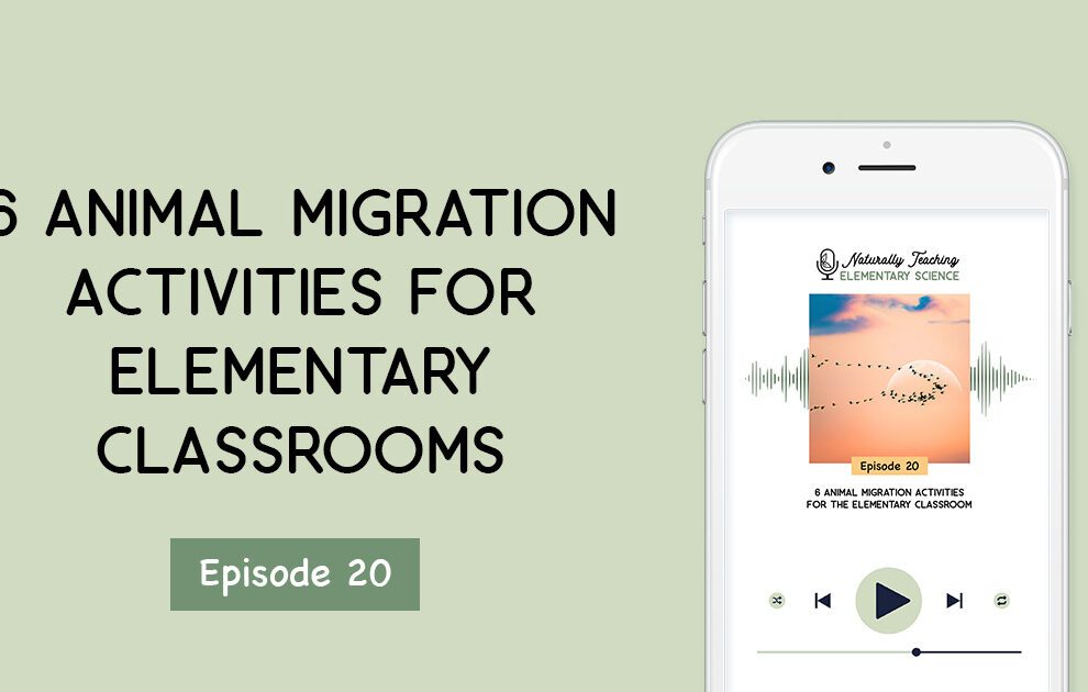 Ep. 20: 6 Animal Migration Activities for the Elementary Classroom