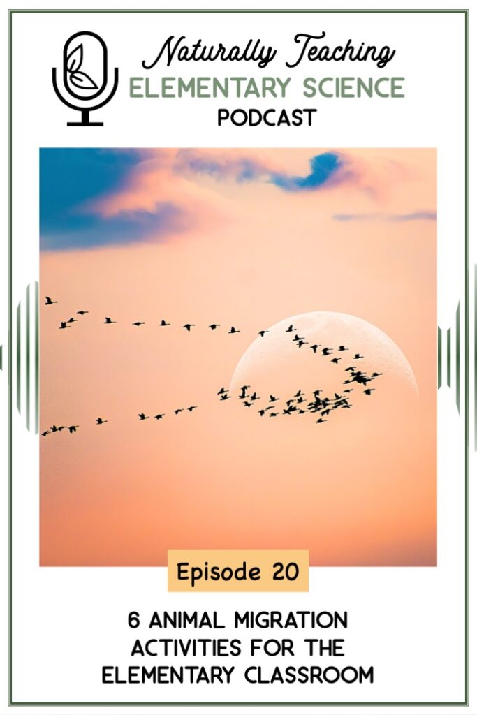 Ep. 20: 6 Animal Migration Activities for the Elementary Classroom