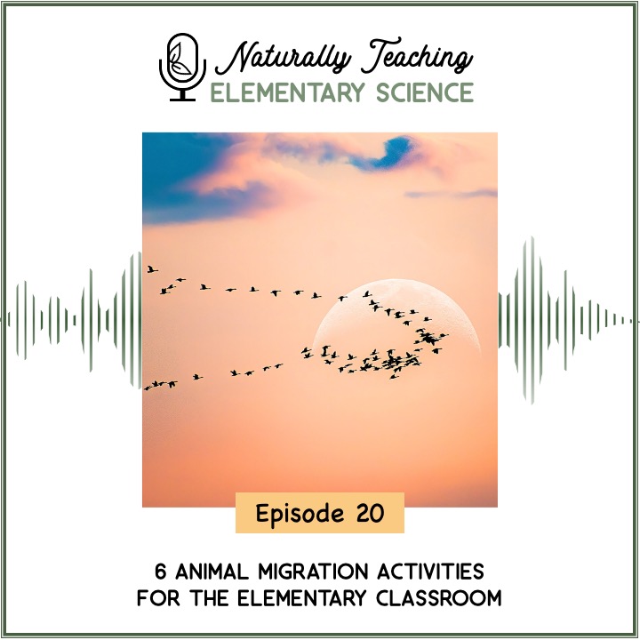 Ep. 20: 6 Animal Migration Activities for the Elementary Classroom