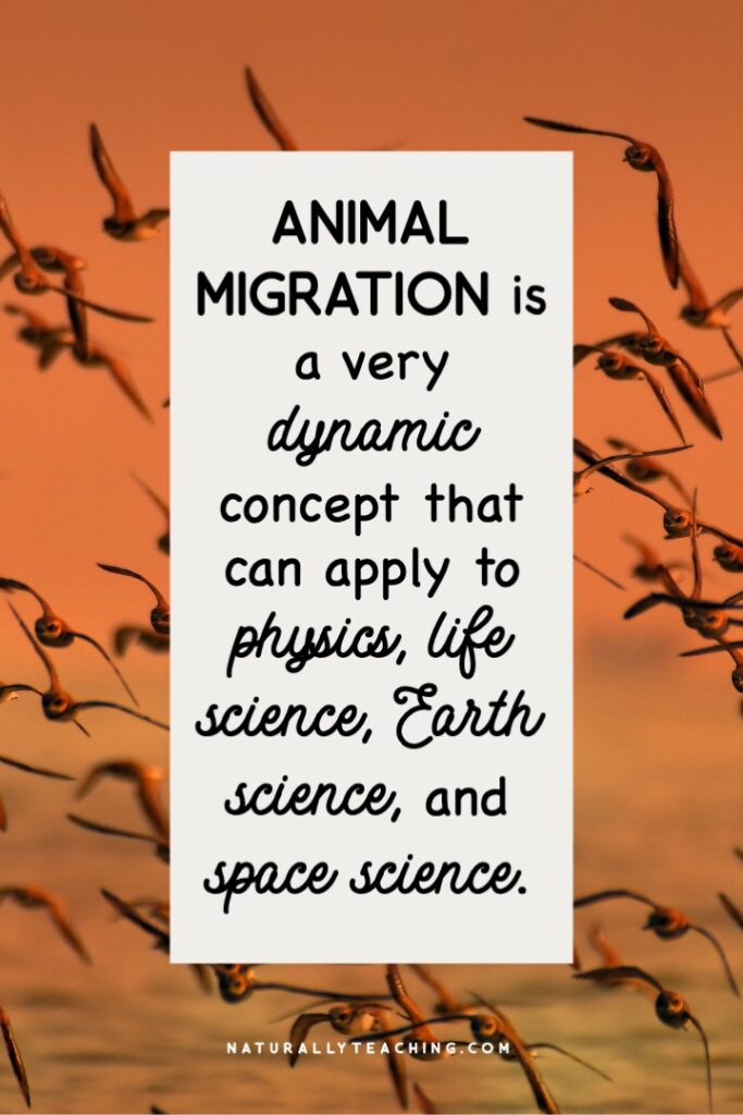 Fall migration is in full swing and is a wonderful natural phenomenon to study with your elementary students.