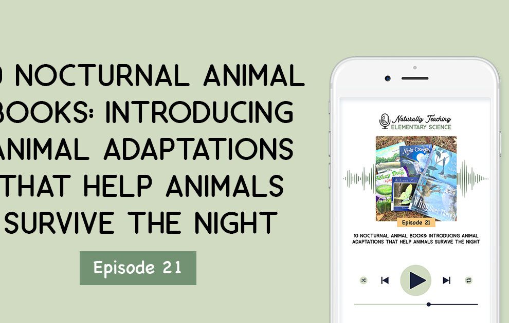 Ep. 21: 10 Nocturnal Animal Books: Introducing Animal Adaptations That Help Animals Survive the Night