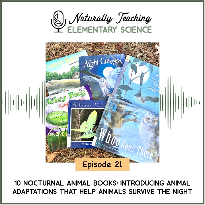 Ep. 21: 10 Nocturnal Animal Books: Introducing Animal Adaptations That Help Animals Survive the Night