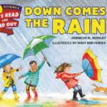 Down Comes the Rain by Franklyn M. Branley