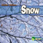 Snow by Cassie Mayer