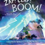 Zap! Clap! Boom! by Laura Purdie Salas