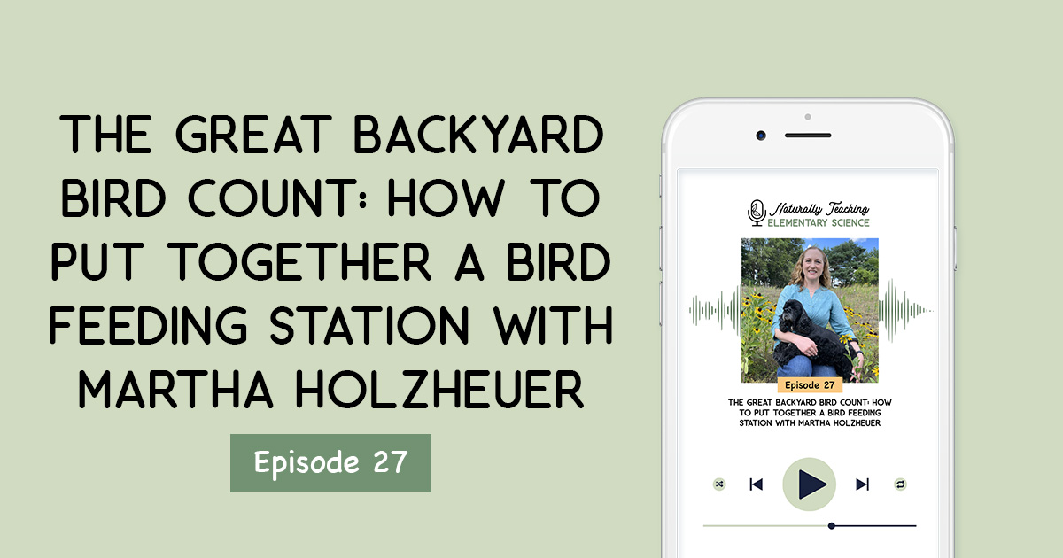 The Great Backyard Bird Count: How to Put Together a Bird Feeding Station with Martha Holzheuer [Ep. 27]