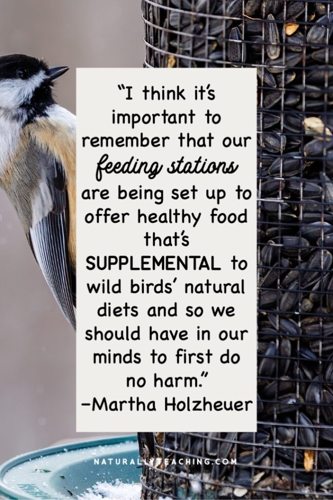 Keep in mind that your bird feeding station for the Great Backyard Bird Count is for food that is supplemental to birds' natural diet.