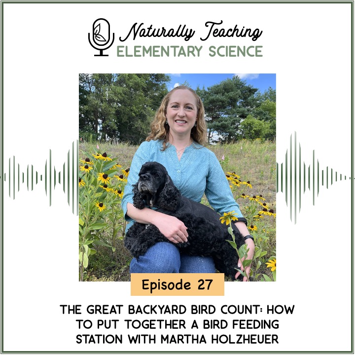 Ep. 27: The Great Backyard Bird Count: How to Put Together a Bird Feeding Station with Martha Holzheuer