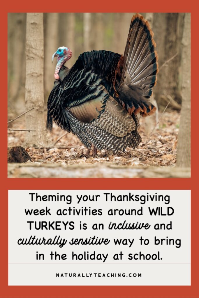 Wild turkeys in fall are a great way to bring in Thanksgiving traditions while also being respectful of cultural history. And by including turkey day activities and books you can make it all tie together.