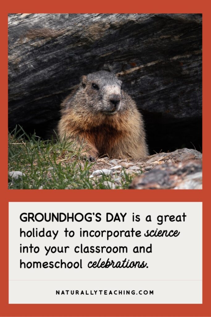 Groundhog's Day is an opportunity to celebrate with weather, hibernation, squirrel, and shadow activities.