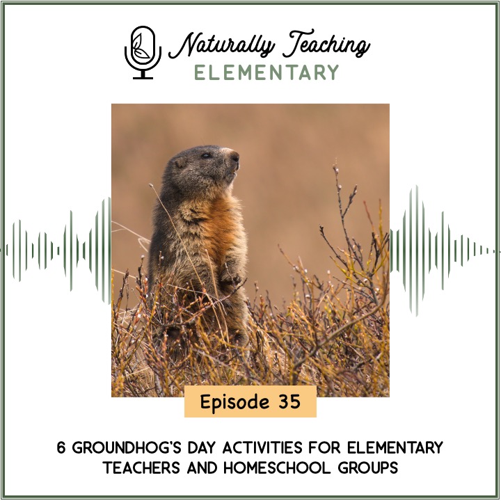 Ep. 35: 6 Groundhog's Day Activities for Elementary Teachers and Homeschool Groups