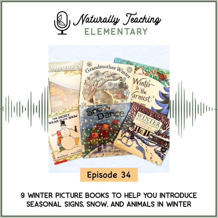 Ep. 34: 9 Winter Picture Books to Help You Introduce Seasonal Signs, Snow, and Animals in Winter