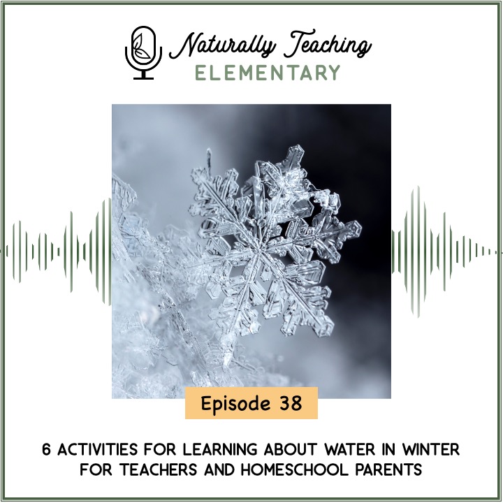 Ep. 38: 6 Activities for Learning About Water in Winter for Teachers and Homeschool Parents